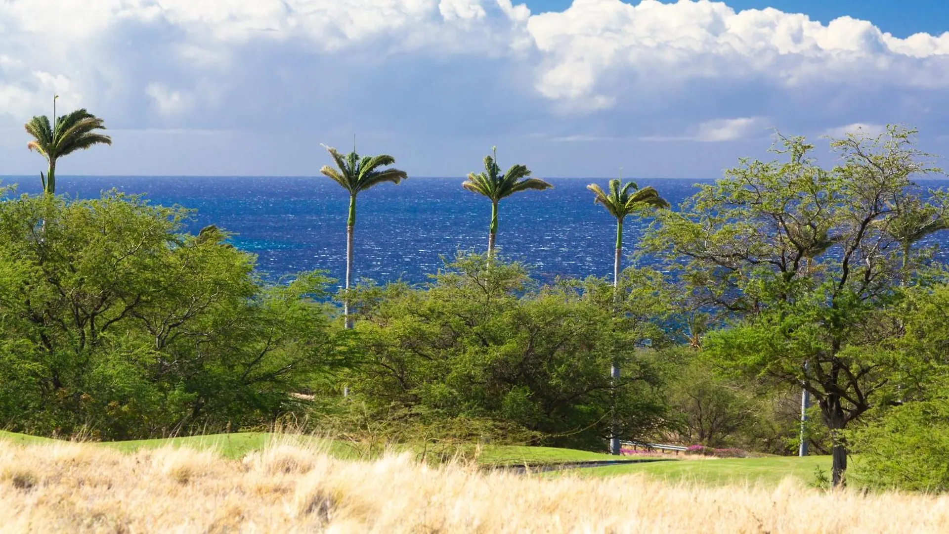 Ikena Nani Exquisite Mauna Kea Home With Heated Pool And Ocean Views Waimea  0*, Waimea (Hawaii) USA